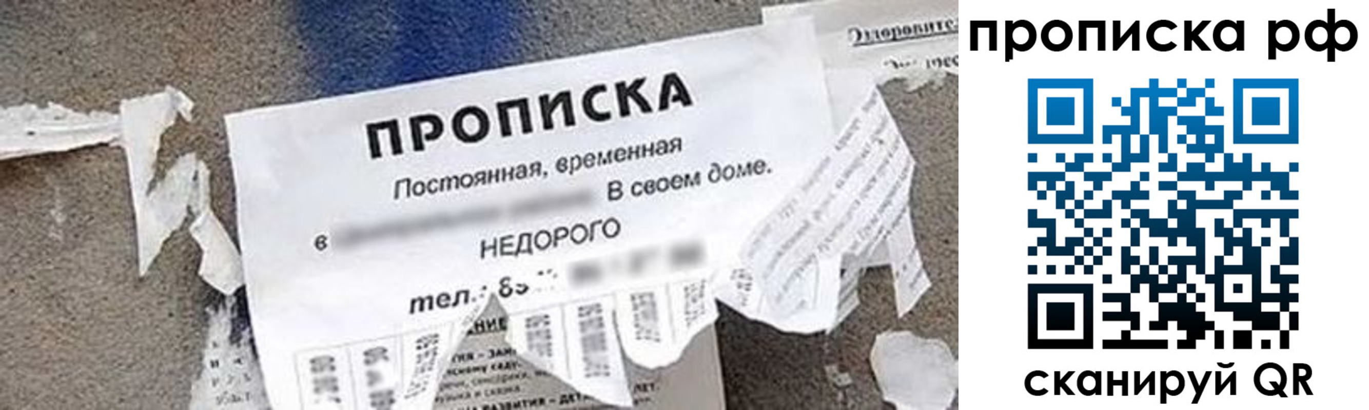 где прописаться в Алексеевке